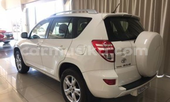 Tenga Tsaru Toyota RAV4 Chena Mota in Beitbridge in Matabeleland South Tenga Tsaru Toyota RAV4 Chena Mota in Beitbridge in Matabeleland South