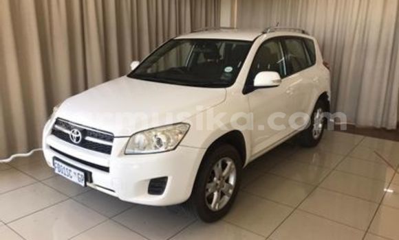 Tenga Tsaru Toyota RAV4 Chena Mota in Beitbridge in Matabeleland South Tenga Tsaru Toyota RAV4 Chena Mota in Beitbridge in Matabeleland South