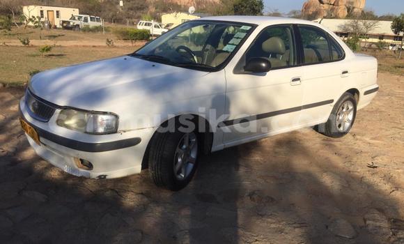 Tenga Tsaru Nissan Sunny Chena Mota in Bulawayo in Bulawayo
