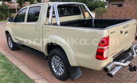 Tenga Tsaru Toyota Hilux Beige Mota in Beitbridge in Matabeleland South Tenga Tsaru Toyota Hilux Beige Mota in Beitbridge in Matabeleland South