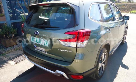 Buy Used Subaru Forester Other Car in Beitbridge in Matabeleland South