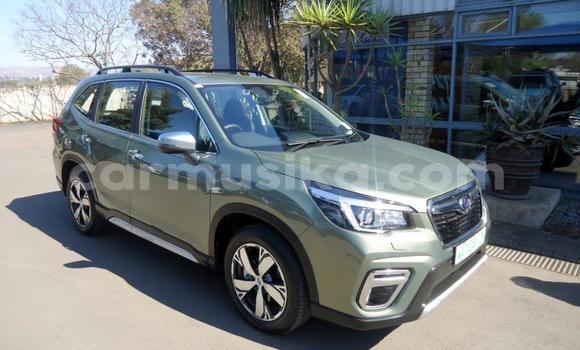 Buy Used Subaru Forester Other Car in Beitbridge in Matabeleland South Buy Used Subaru Forester Other Car in Beitbridge in Matabeleland South