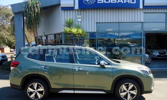 Buy Used Subaru Forester Other Car in Beitbridge in Matabeleland South Buy Used Subaru Forester Other Car in Beitbridge in Matabeleland South