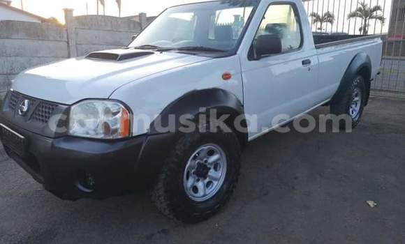 Tenga Tsaru Nissan NP 300 Chena Mota in Beitbridge in Matabeleland South Tenga Tsaru Nissan NP 300 Chena Mota in Beitbridge in Matabeleland South