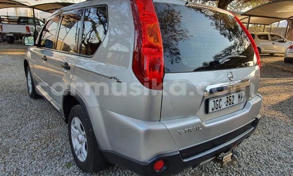 Acheter Occasion Voiture Nissan X–Trail Gris à Beitbridge, Matabeleland South Acheter Occasion Voiture Nissan X–Trail Gris à Beitbridge, Matabeleland South