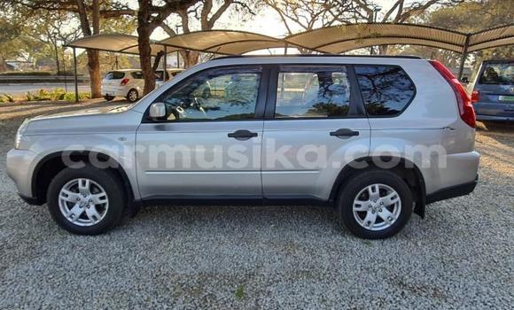 Acheter Occasion Voiture Nissan X–Trail Gris à Beitbridge, Matabeleland South Acheter Occasion Voiture Nissan X–Trail Gris à Beitbridge, Matabeleland South