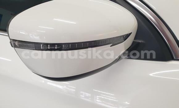 Tenga Tsaru Nissan Qashqai+2 Chena Mota in Beitbridge in Matabeleland South Tenga Tsaru Nissan Qashqai+2 Chena Mota in Beitbridge in Matabeleland South