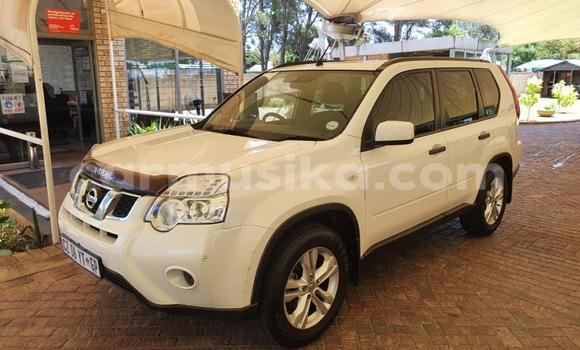 Nunua Ilio tumika Nissan X–Trail Nyeupe Gari ndani ya Beitbridge nchini Matabeleland Kusini Nunua Ilio tumika Nissan X–Trail Nyeupe Gari ndani ya Beitbridge nchini Matabeleland Kusini