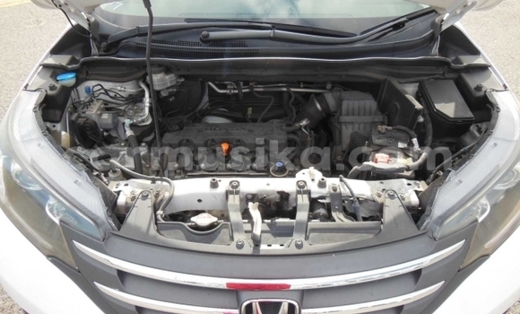Acheter Occasion Voiture Honda CR–V Blanc à Beitbridge, Matabeleland South Acheter Occasion Voiture Honda CR–V Blanc à Beitbridge, Matabeleland South