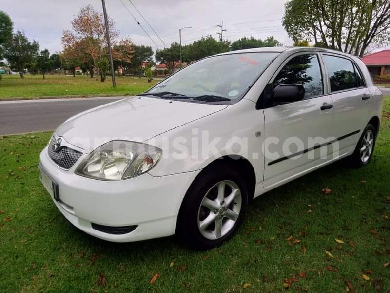 Big with watermark toyota runx matabeleland south beitbridge 19309