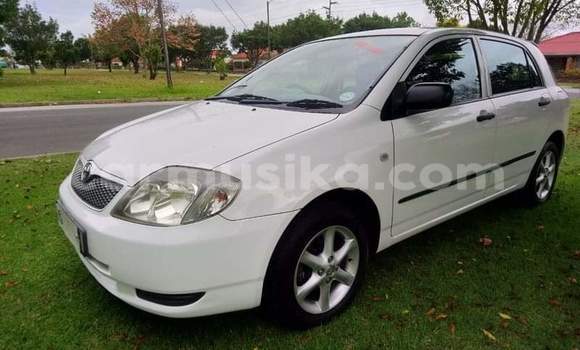 Acheter Occasion Voiture Toyota Runx Blanc à Beitbridge, Matabeleland South Acheter Occasion Voiture Toyota Runx Blanc à Beitbridge, Matabeleland South