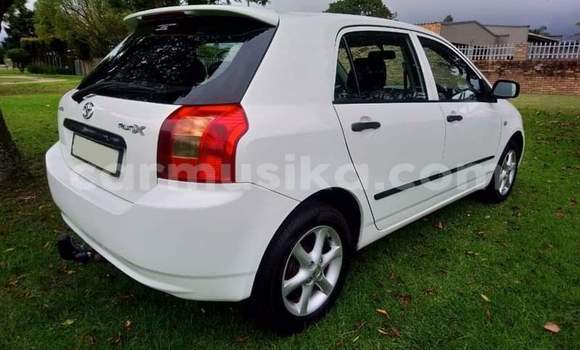 Acheter Occasion Voiture Toyota Runx Blanc à Beitbridge, Matabeleland South Acheter Occasion Voiture Toyota Runx Blanc à Beitbridge, Matabeleland South