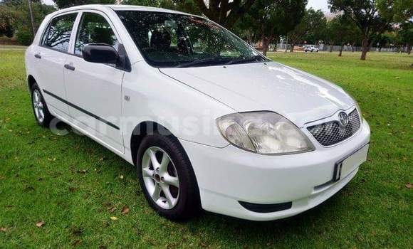Acheter Occasion Voiture Toyota Runx Blanc à Beitbridge, Matabeleland South Acheter Occasion Voiture Toyota Runx Blanc à Beitbridge, Matabeleland South