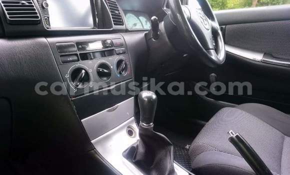 Acheter Occasion Voiture Toyota Runx Blanc à Beitbridge, Matabeleland South Acheter Occasion Voiture Toyota Runx Blanc à Beitbridge, Matabeleland South