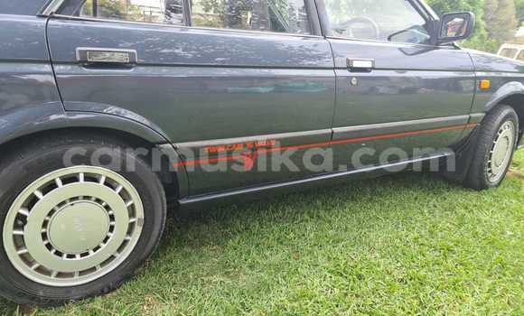 Nunua Ilio tumika Nissan Sentra Nyingine Gari ndani ya Beitbridge nchini Matabeleland Kusini Nunua Ilio tumika Nissan Sentra Nyingine Gari ndani ya Beitbridge nchini Matabeleland Kusini