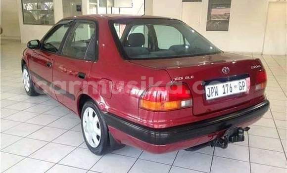 Nunua Ilio tumika Toyota Corolla Nyingine Gari ndani ya Beitbridge nchini Matabeleland Kusini Nunua Ilio tumika Toyota Corolla Nyingine Gari ndani ya Beitbridge nchini Matabeleland Kusini