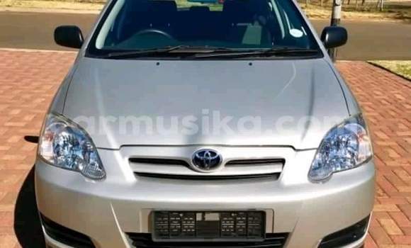 Acheter Occasion Voiture Toyota Runx Autre à Beitbridge, Matabeleland South Acheter Occasion Voiture Toyota Runx Autre à Beitbridge, Matabeleland South