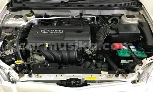 Acheter Occasion Voiture Toyota Runx Autre à Beitbridge, Matabeleland South Acheter Occasion Voiture Toyota Runx Autre à Beitbridge, Matabeleland South