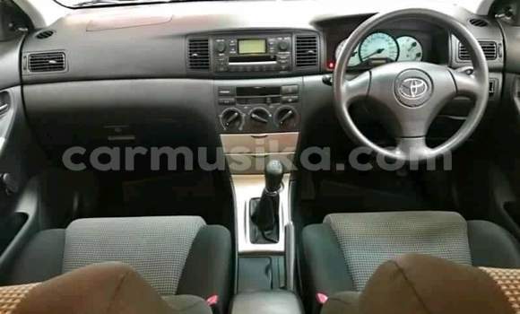 Acheter Occasion Voiture Toyota Runx Autre à Beitbridge, Matabeleland South Acheter Occasion Voiture Toyota Runx Autre à Beitbridge, Matabeleland South