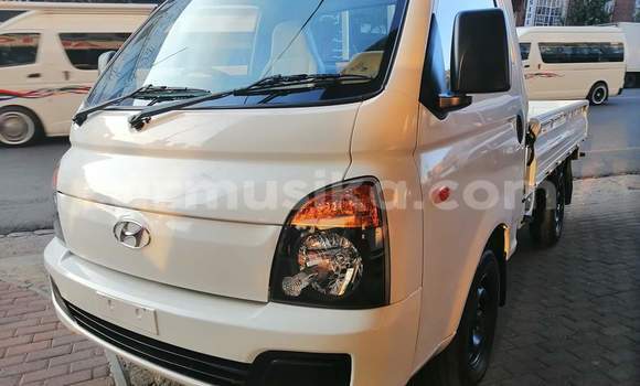 Buy Used Hyundai H200 White Car in Beitbridge in Matabeleland South Buy Used Hyundai H200 White Car in Beitbridge in Matabeleland South