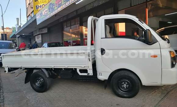 Buy Used Hyundai H200 White Car in Beitbridge in Matabeleland South Buy Used Hyundai H200 White Car in Beitbridge in Matabeleland South