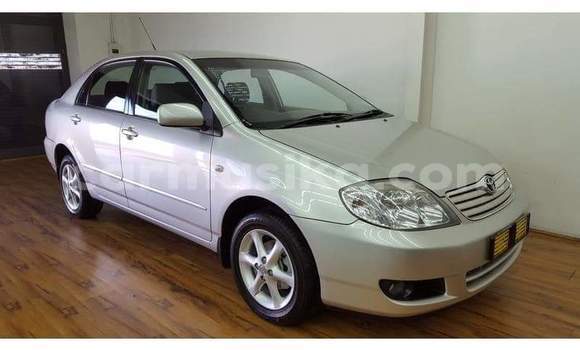 Nunua Ilio tumika Toyota Corolla Fedha Gari ndani ya Beitbridge nchini Matabeleland Kusini