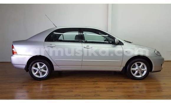 Acheter Occasion Voiture Toyota Corolla Gris à Beitbridge, Matabeleland South Acheter Occasion Voiture Toyota Corolla Gris à Beitbridge, Matabeleland South