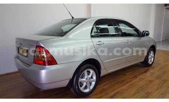 Acheter Occasion Voiture Toyota Corolla Gris à Beitbridge, Matabeleland South Acheter Occasion Voiture Toyota Corolla Gris à Beitbridge, Matabeleland South