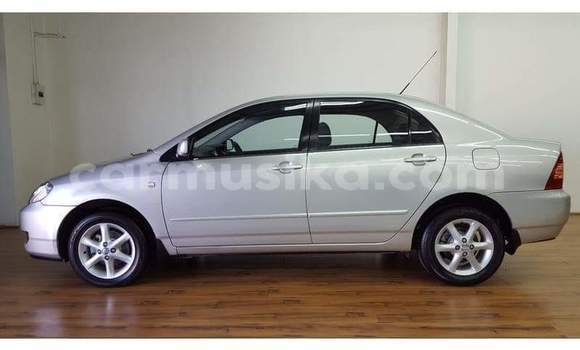 Acheter Occasion Voiture Toyota Corolla Gris à Beitbridge, Matabeleland South Acheter Occasion Voiture Toyota Corolla Gris à Beitbridge, Matabeleland South