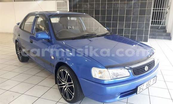 Tenga Tsaru Toyota Corolla Bhuruu Mota in Beitbridge in Matabeleland South