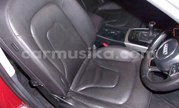 Tenga Tsaru Audi A4 Zvimwe Mota in Beitbridge in Matabeleland South Tenga Tsaru Audi A4 Zvimwe Mota in Beitbridge in Matabeleland South