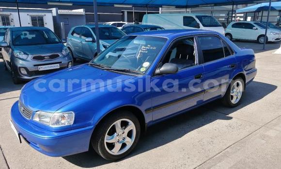 Buy Used Toyota Corolla Blue Car in Beitbridge in Matabeleland South Buy Used Toyota Corolla Blue Car in Beitbridge in Matabeleland South