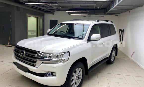 Nunua Ilio tumika Toyota Land Cruiser Nyeupe Gari ndani ya Beitbridge nchini Matabeleland Kusini