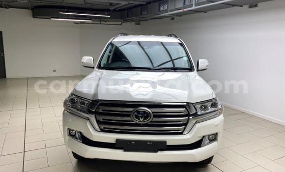 Tenga Tsaru Toyota Land Cruiser Chena Mota in Beitbridge in Matabeleland South Tenga Tsaru Toyota Land Cruiser Chena Mota in Beitbridge in Matabeleland South