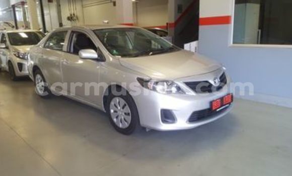 Buy Used Toyota Corolla Silver Car in Beitbridge in Matabeleland South