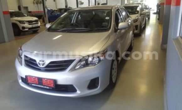 Nunua Ilio tumika Toyota Corolla Fedha Gari ndani ya Beitbridge nchini Matabeleland Kusini Nunua Ilio tumika Toyota Corolla Fedha Gari ndani ya Beitbridge nchini Matabeleland Kusini
