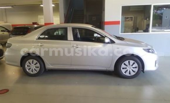 Nunua Ilio tumika Toyota Corolla Fedha Gari ndani ya Beitbridge nchini Matabeleland Kusini Nunua Ilio tumika Toyota Corolla Fedha Gari ndani ya Beitbridge nchini Matabeleland Kusini