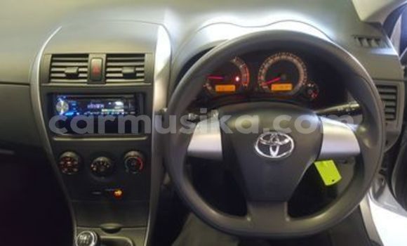 Nunua Ilio tumika Toyota Corolla Fedha Gari ndani ya Beitbridge nchini Matabeleland Kusini Nunua Ilio tumika Toyota Corolla Fedha Gari ndani ya Beitbridge nchini Matabeleland Kusini