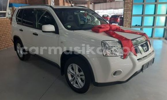 Acheter Occasion Voiture Nissan Exa Autre à Beitbridge, Matabeleland South Acheter Occasion Voiture Nissan Exa Autre à Beitbridge, Matabeleland South