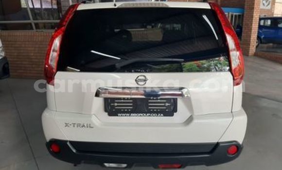 Acheter Occasion Voiture Nissan Exa Autre à Beitbridge, Matabeleland South Acheter Occasion Voiture Nissan Exa Autre à Beitbridge, Matabeleland South