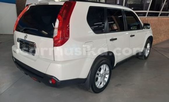 Acheter Occasion Voiture Nissan Exa Autre à Beitbridge, Matabeleland South Acheter Occasion Voiture Nissan Exa Autre à Beitbridge, Matabeleland South