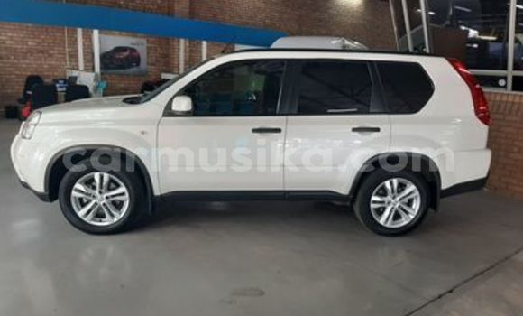 Acheter Occasion Voiture Nissan Exa Autre à Beitbridge, Matabeleland South Acheter Occasion Voiture Nissan Exa Autre à Beitbridge, Matabeleland South