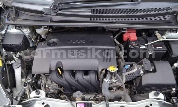 Acheter Occasion Voiture Toyota Vitz Gris à Beitbridge, Matabeleland South Acheter Occasion Voiture Toyota Vitz Gris à Beitbridge, Matabeleland South