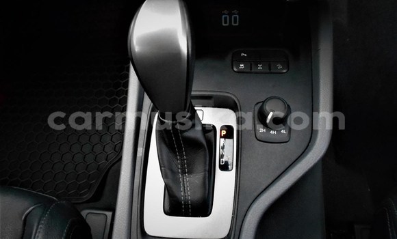 Tenga Tsaru Ford Ranger Chena Mota in Beitbridge in Matabeleland South Tenga Tsaru Ford Ranger Chena Mota in Beitbridge in Matabeleland South