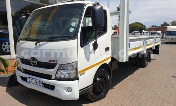 Tenga Tsaru Hino 300 Chena Rori in Beitbridge in Matabeleland South Tenga Tsaru Hino 300 Chena Rori in Beitbridge in Matabeleland South
