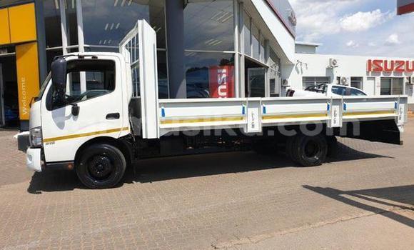 Tenga Tsaru Hino 300 Chena Rori in Beitbridge in Matabeleland South Tenga Tsaru Hino 300 Chena Rori in Beitbridge in Matabeleland South