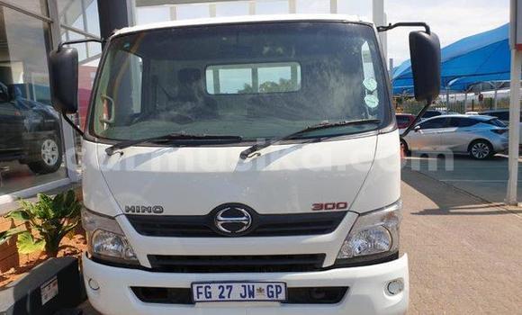 Tenga Tsaru Hino 300 Chena Rori in Beitbridge in Matabeleland South Tenga Tsaru Hino 300 Chena Rori in Beitbridge in Matabeleland South