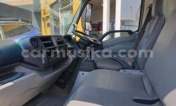 Tenga Tsaru Hino 300 Chena Rori in Beitbridge in Matabeleland South Tenga Tsaru Hino 300 Chena Rori in Beitbridge in Matabeleland South