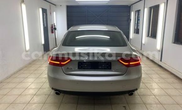 Tenga Tsaru Audi A6 Sirivha Mota in Beitbridge in Matabeleland South