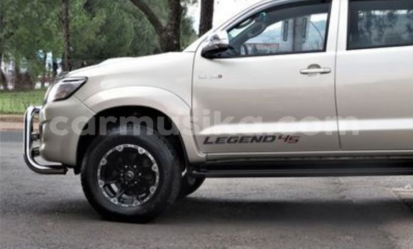 Tenga Tsaru Toyota Hilux Sirivha Mota in Beitbridge in Matabeleland South Tenga Tsaru Toyota Hilux Sirivha Mota in Beitbridge in Matabeleland South